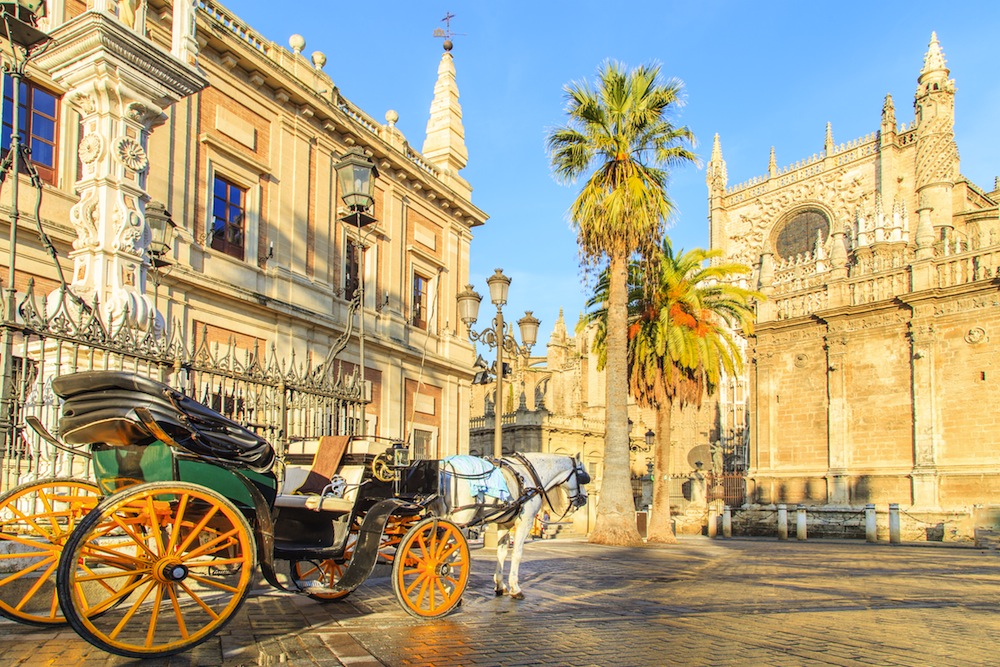 imagen transfer to Seville from Malaga Airport