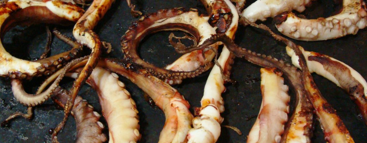 pulpo seco de motril